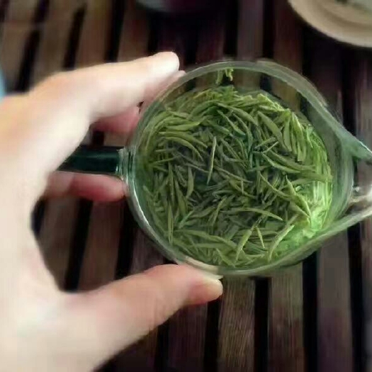 信阳信阳毛尖