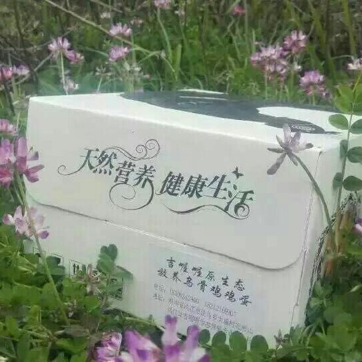 洪江市乌鸡蛋 散装 食用
