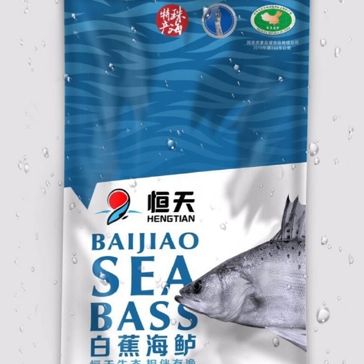 珠海海鲈鱼 0.5公斤以下 人工养殖