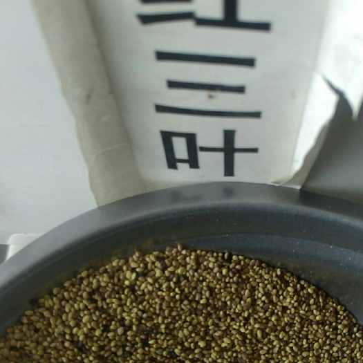 沭阳县红三叶 