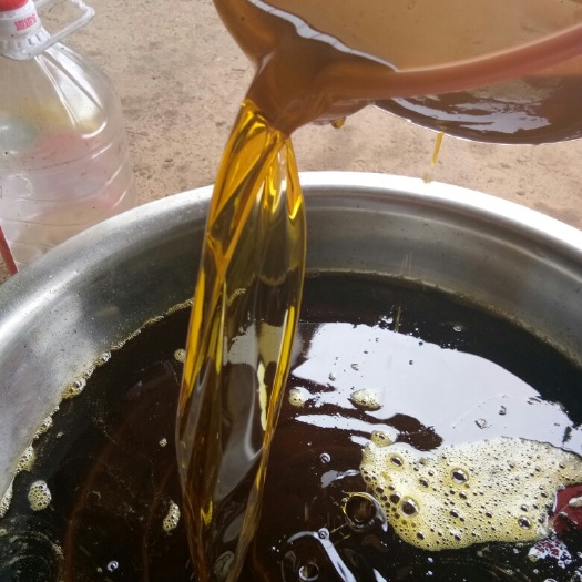 新田县非转基因菜籽油 5L以上