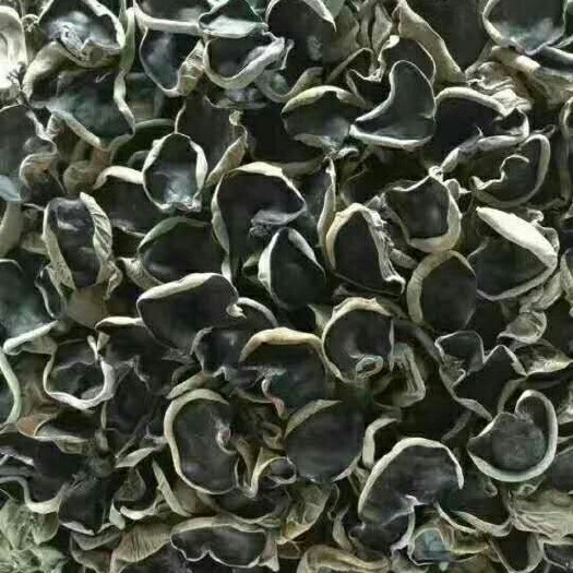 嘉荫县东北黑木耳 一级