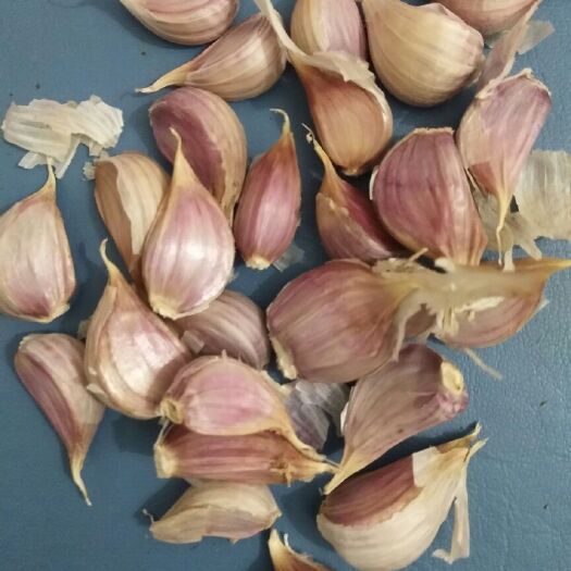 丰县徐州丰县二水早蒜瓣（川蒜种子寒蒜老苔蒜）