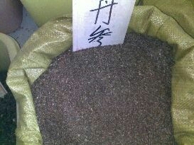 亳州丹参种苗