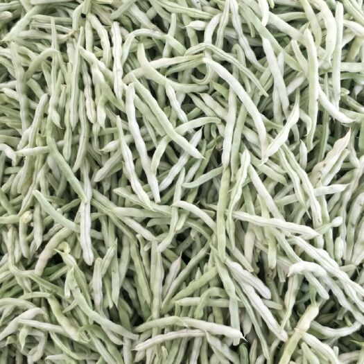 泰安白花四季豆 白不老精品