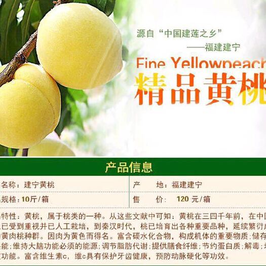 锦绣黄桃 70mm以上 3 - 4两 