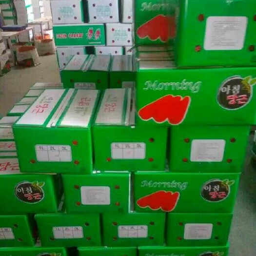 通许县厦门精品316三红胡萝卜  316精品胡萝卜，