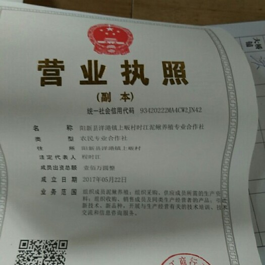 阳新县刀子鱼