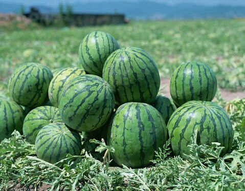 正定县价格优惠无代办