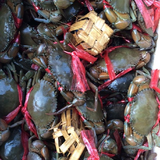 昆明铁蟹 公蟹 100克