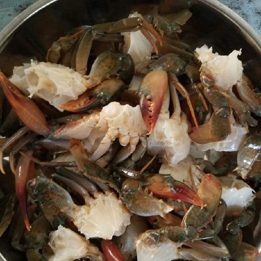 昆明缅甸黑蟹 速冻蟹