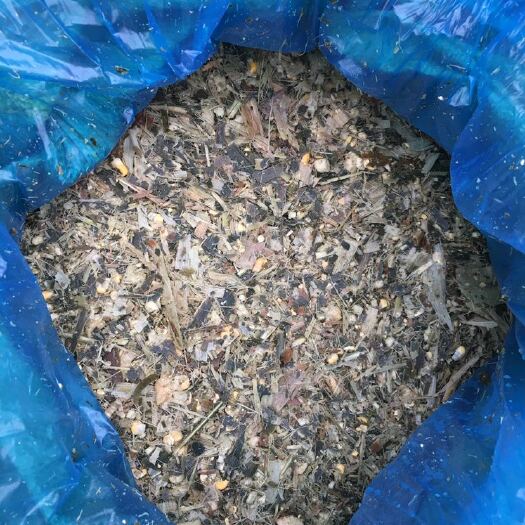 唐山玉米青贮草 