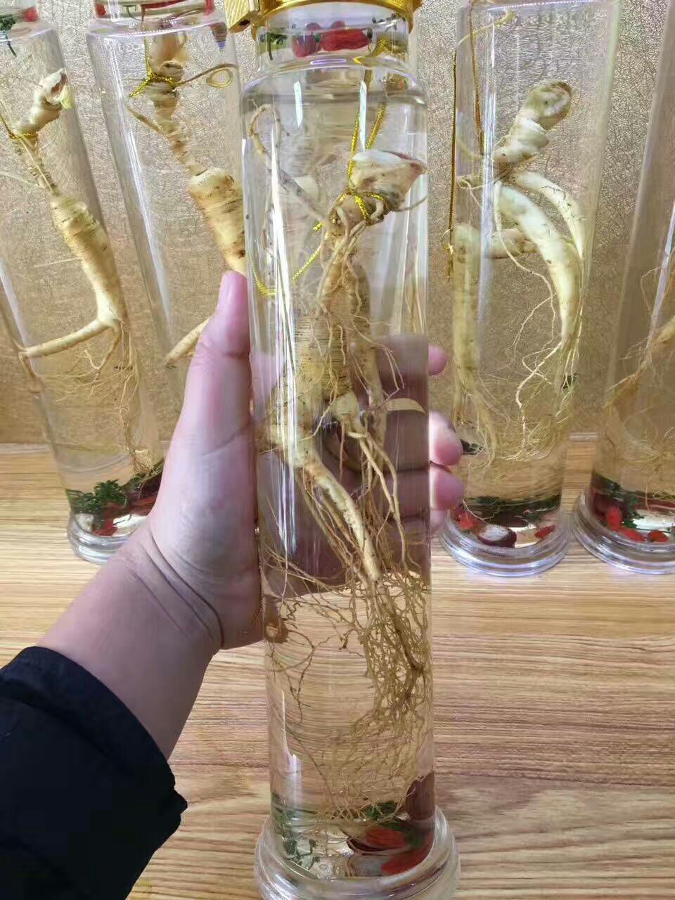 林下参人参 鲜参