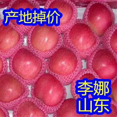 沂水县美八苹果 75mm以上 片红 纸袋