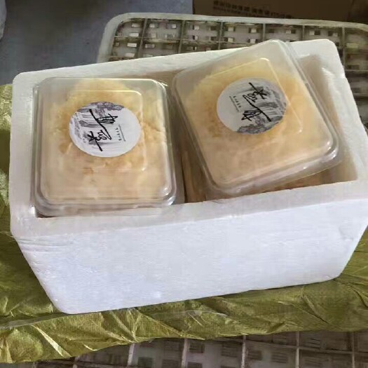 古田县古田银耳 鲜银耳 朵状银耳 淡黄色