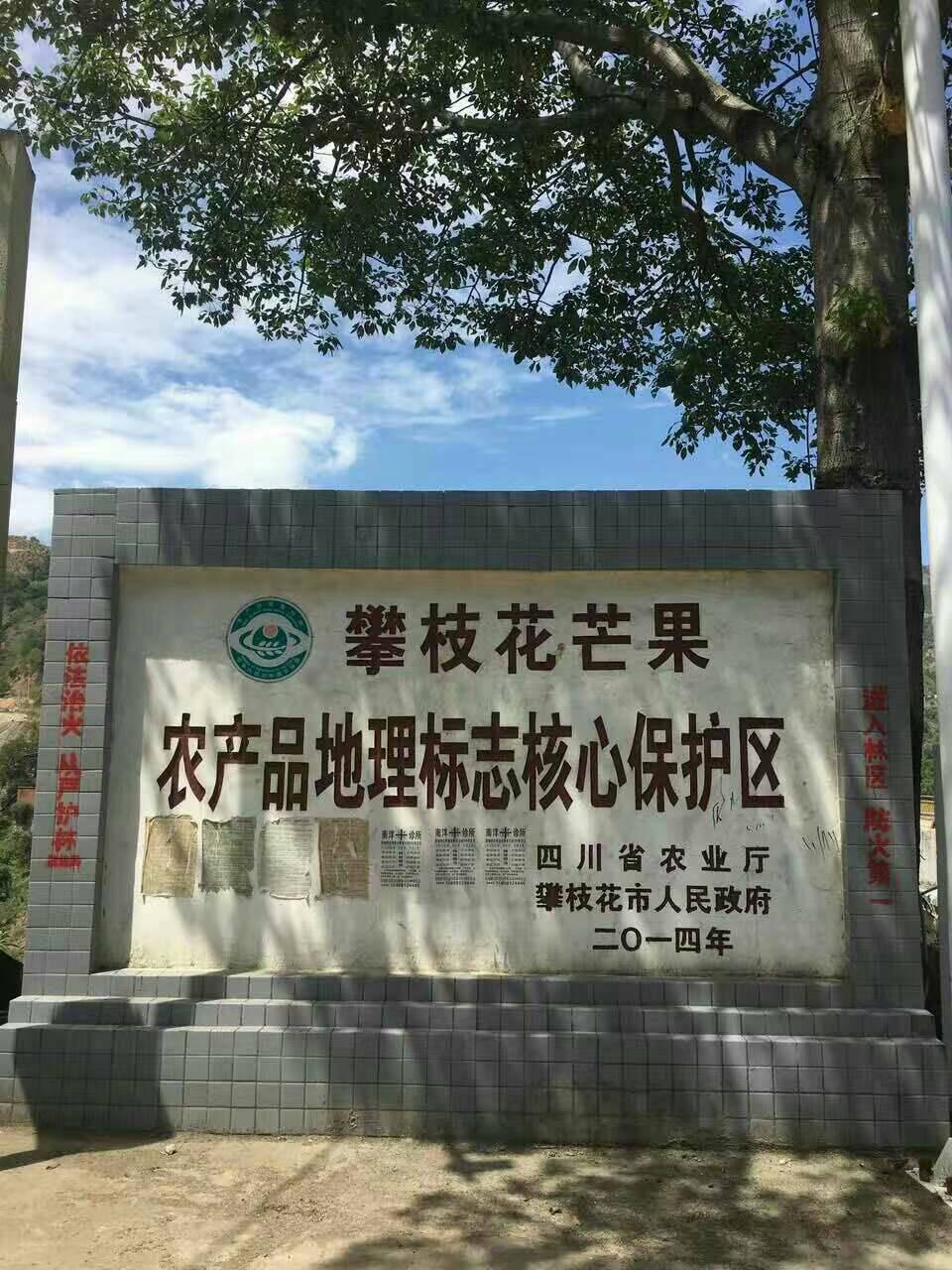 攀枝花本土贵妃芒 承接线上线下市场批发商超配送一件代发