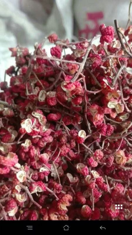 新安县大红袍花椒 一级 干花椒