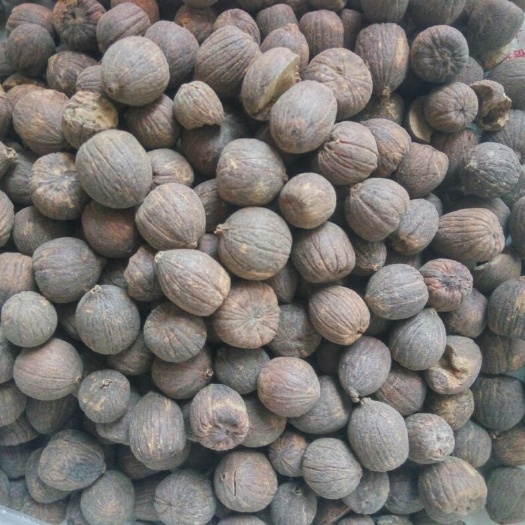 十堰橡子仁，橡果，青冈仁，橡子，麻栎，栓皮栎