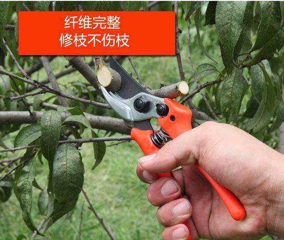 深圳修枝剪刀 