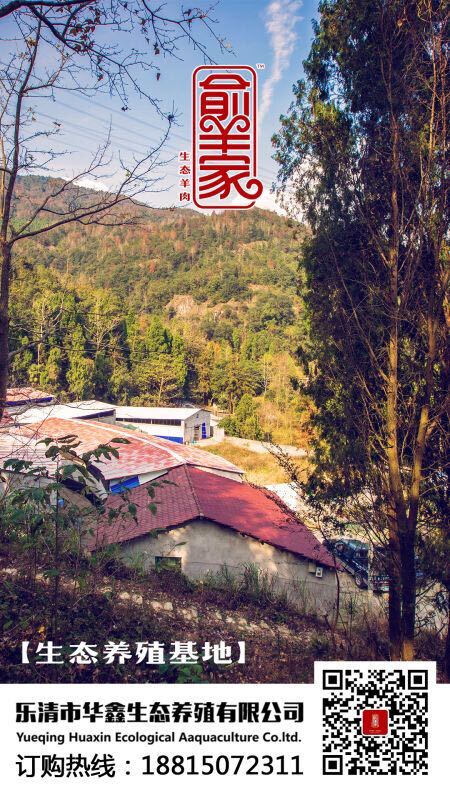 乐清市波尔山羊 50-80斤