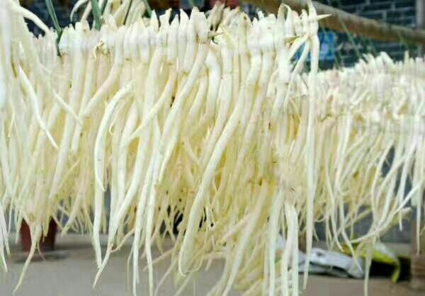苍溪县川明参  沙参