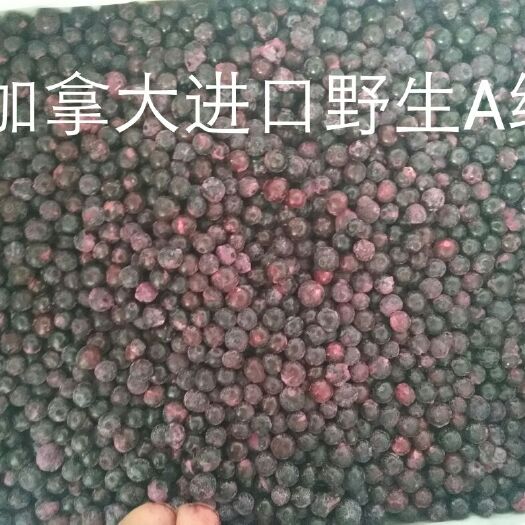 诸暨市速冻蓝莓