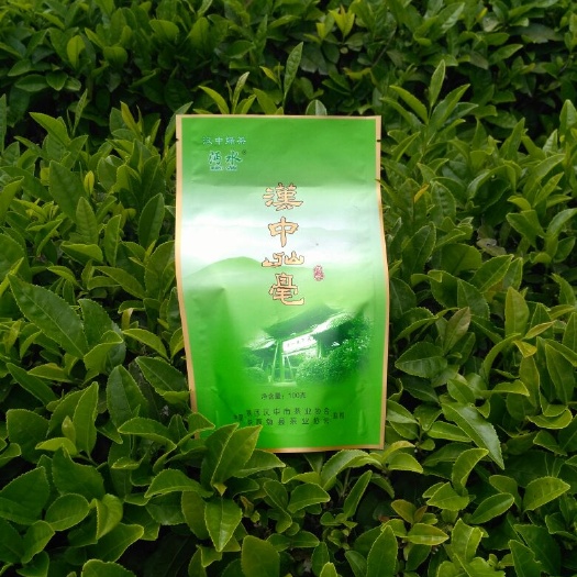 勉县绿茶 陕西省汉中市勉县