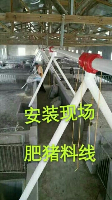 泊头市料线