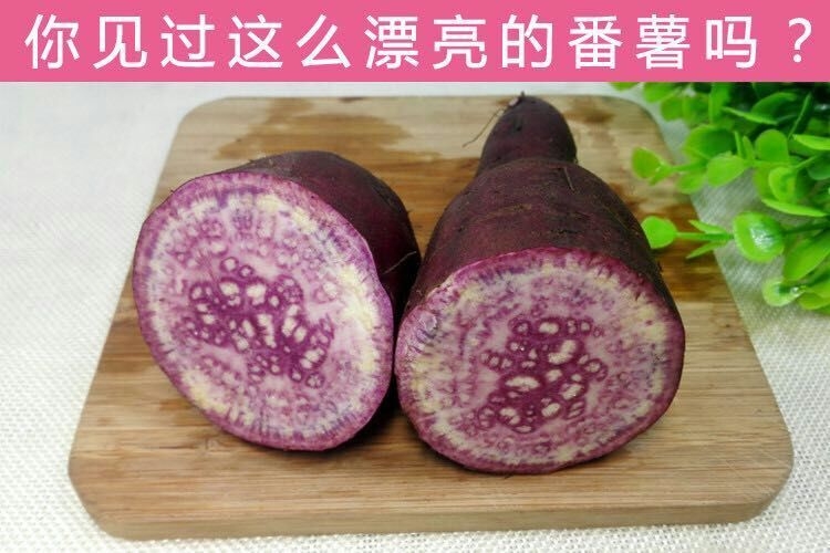 广紫薯1号 冰淇淋蕃薯