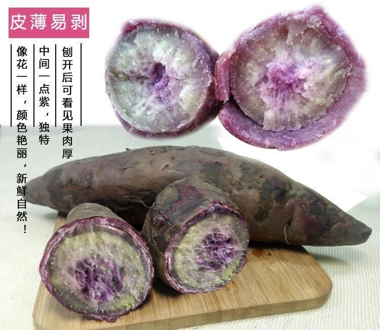 广紫薯1号 冰淇淋蕃薯