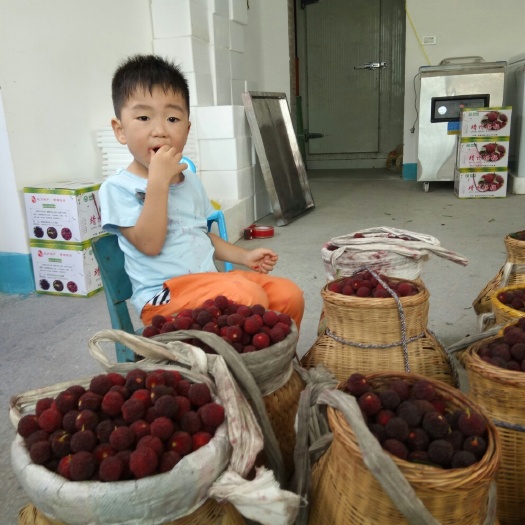 靖州县靖州杨梅 靖州乌梅，四斤装，48粒蛋托装4蛋托真空顺丰，省外包邮