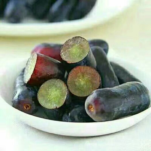 绥中县甜蜜蓝宝石葡萄苗 