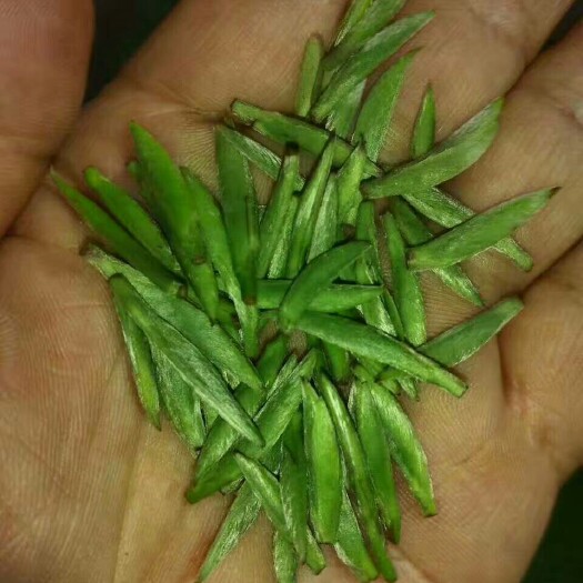 岳西县岳西绿茶 袋装 一级 
