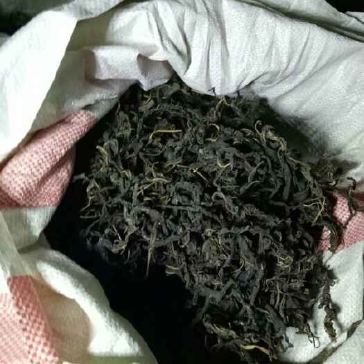 南阳芝麻叶 