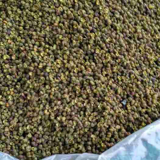 成都青花椒  川椒是全国最有品味的花椒，香麻味特别好，适合用户。