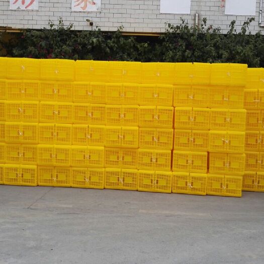 南宁塑料筐 周转筐，全新料（PE，PP）