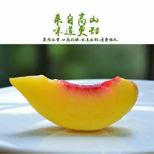 炎陵县炎陵黄桃 60mm以上 4两以上 
