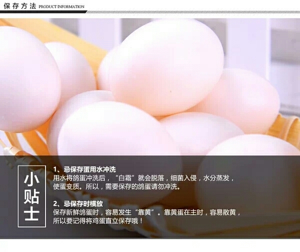 太和县 鸽子蛋