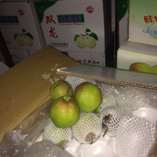 赵县玉露香梨 200-250g 60mm以上 