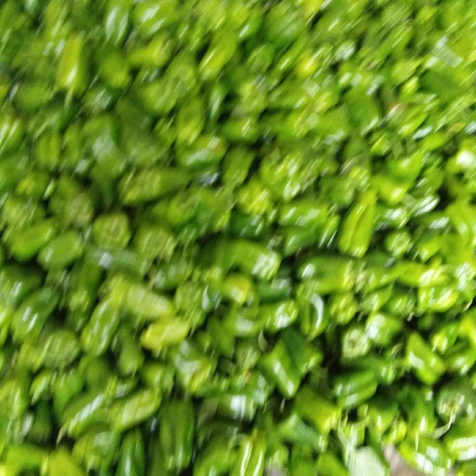 商河县圆椒 15~20cm 甜辣 靑色