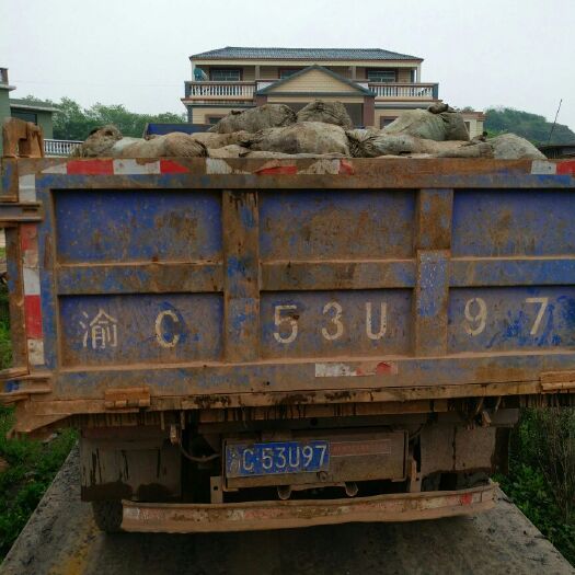 合江县 纯羊粪，有机肥