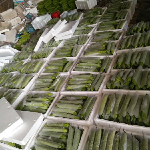 寿光市保鲜膜