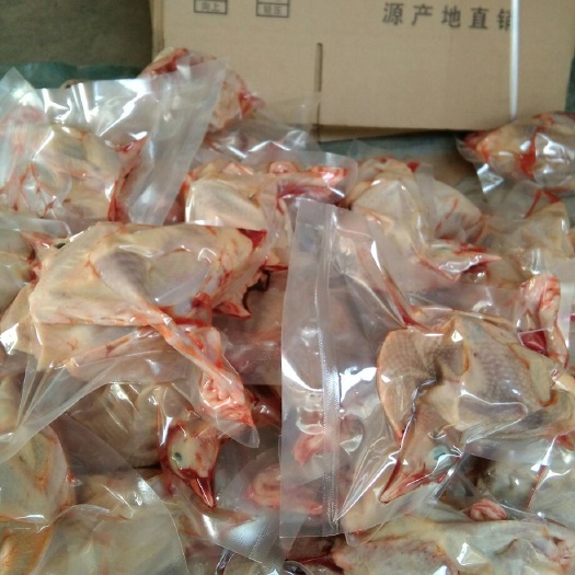 濮阳县肉鸽  新鲜白条