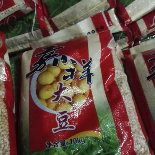 嘉祥县中黄13黄豆 生大豆 1等品