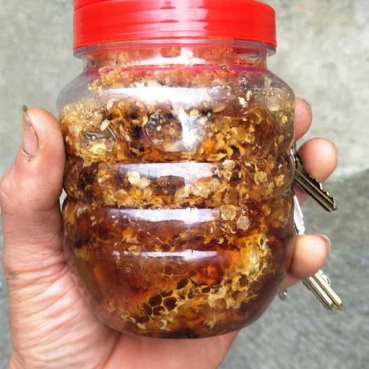 乐山土蜂蜜 塑料瓶装