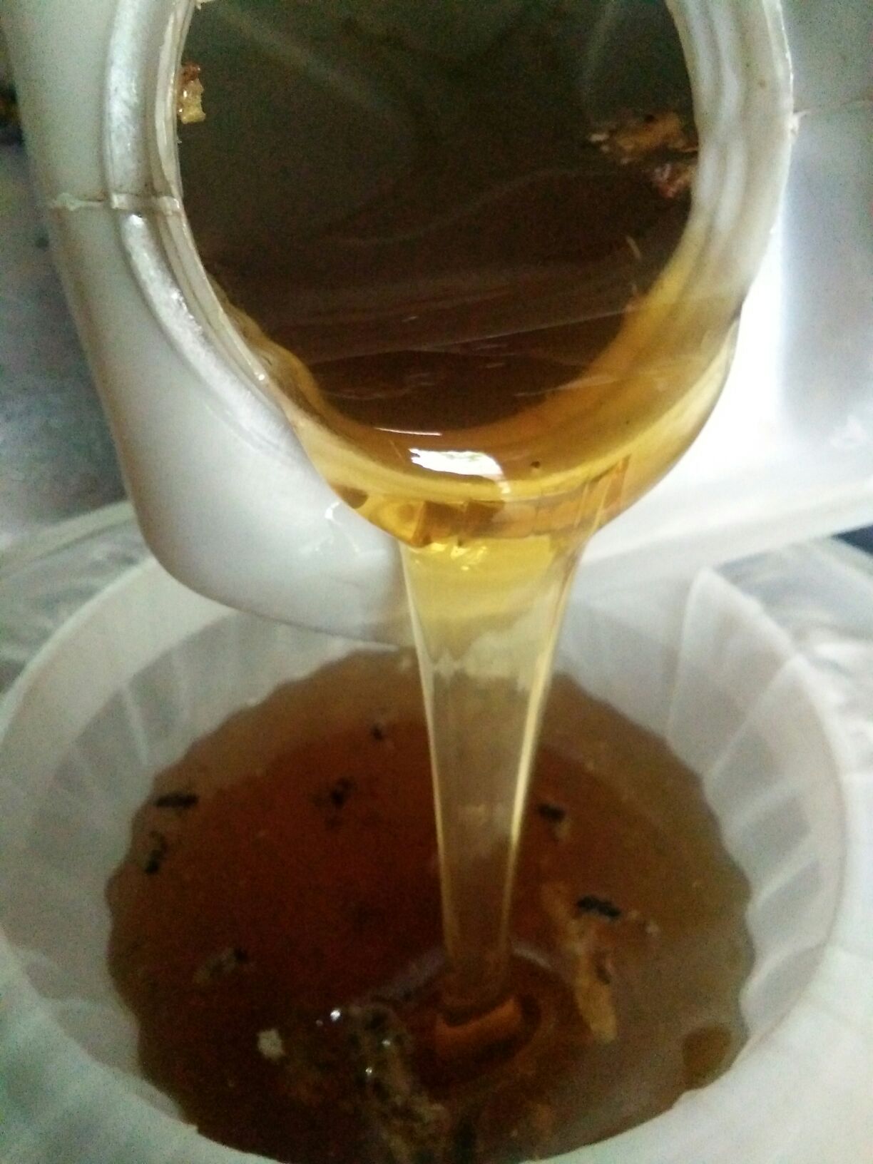 荆条蜜 塑料瓶装  2年以上