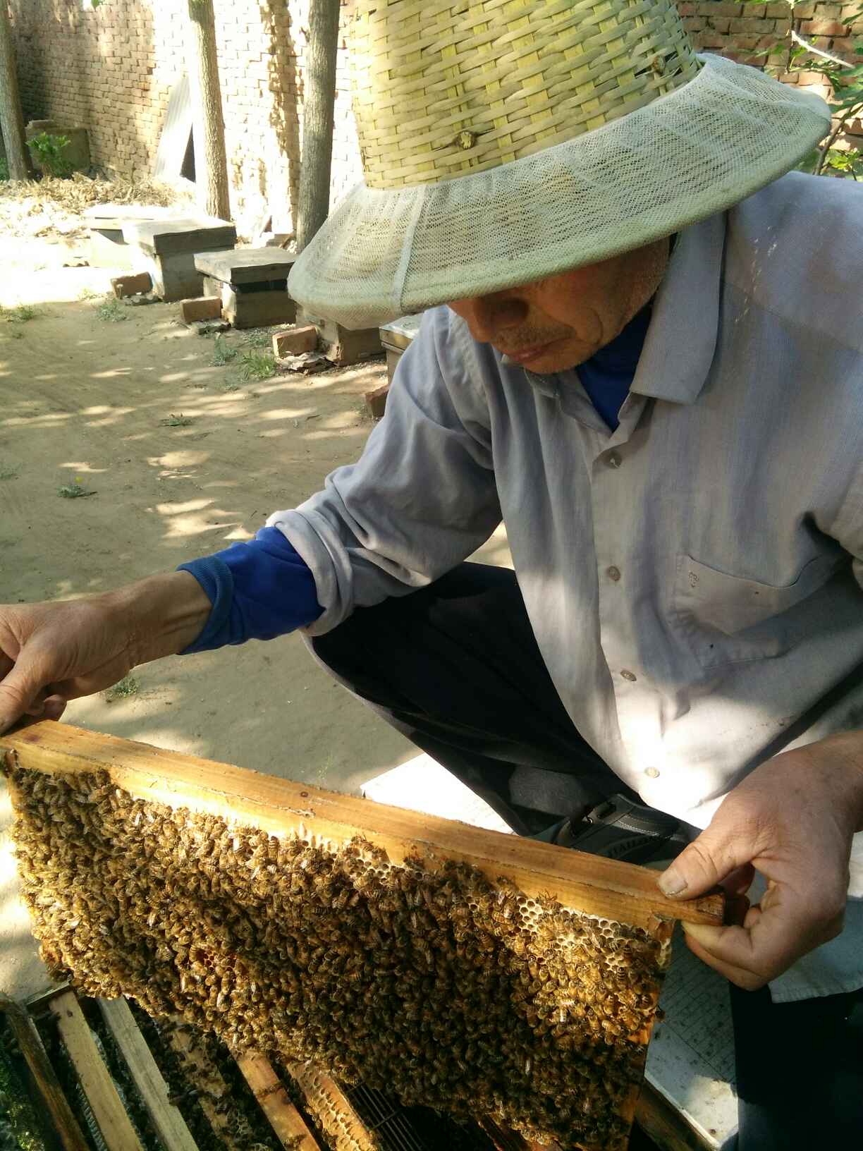荆条蜜 塑料瓶装  2年以上