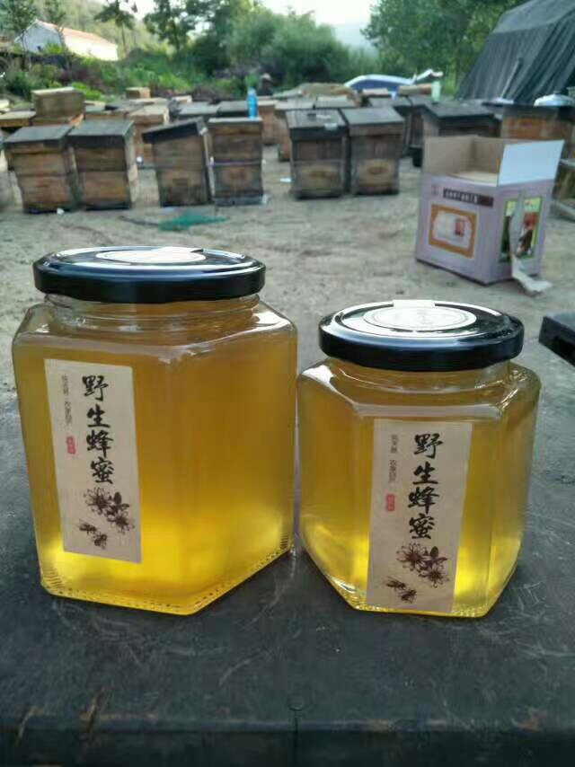 土蜂蜜 玻璃瓶装  2年以上