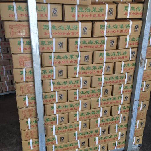 荣成市荣成海带