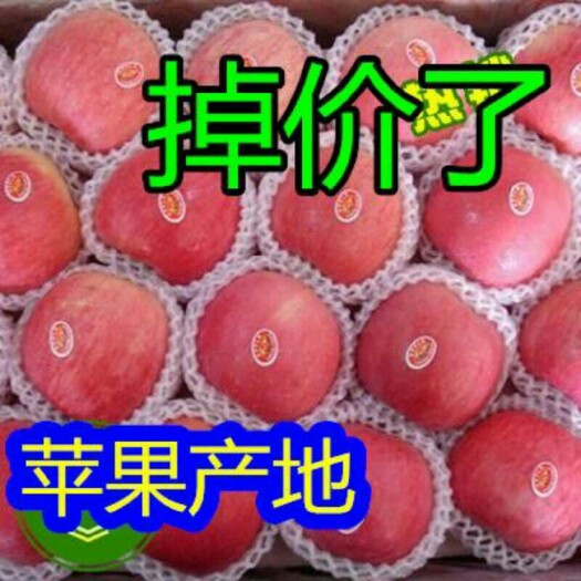 沂水县 红富士苹果 脆甜好吃 价格不贵